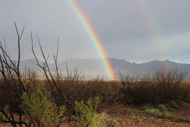 A rainbow in the San Simon Valley with the Peloncillo Mountains in the background